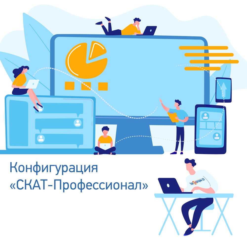 Конфигурация СКАТ-профессионал базовая поставка